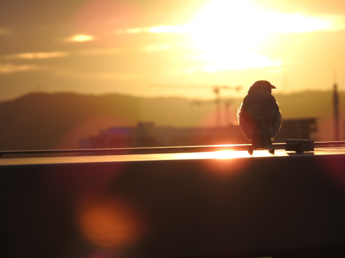 Photography by Simon Harrison