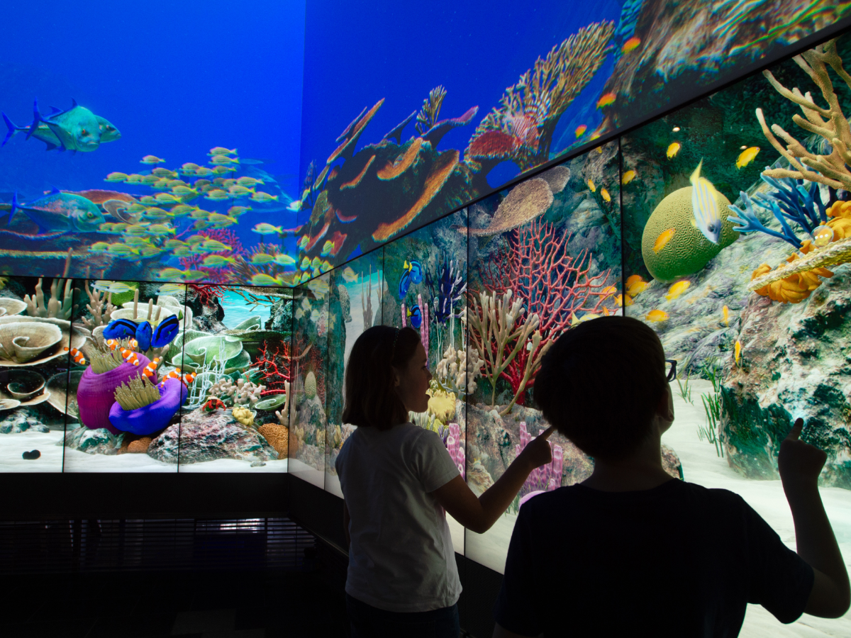 The Living Reef interactive installation